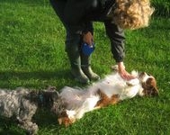 click for a larger view